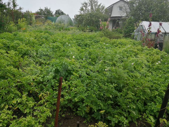 Дача 45 м² на участке 8,3 сот.