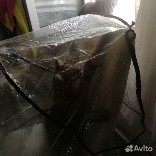 Дождевик на коляску