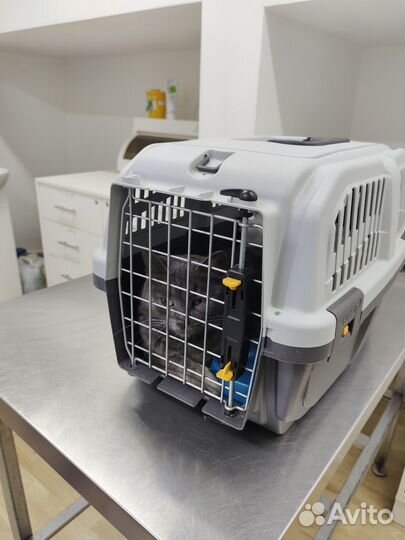 Ищем дом Дымке