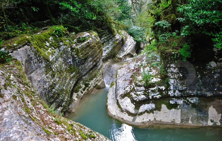 Участок 3,5 сот. (СНТ, ДНП)