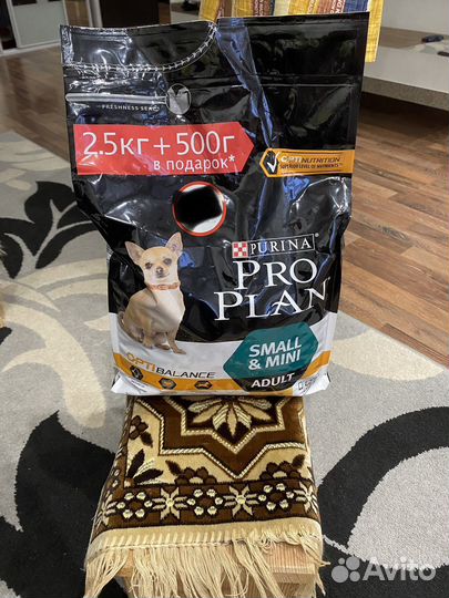 Корм для собак