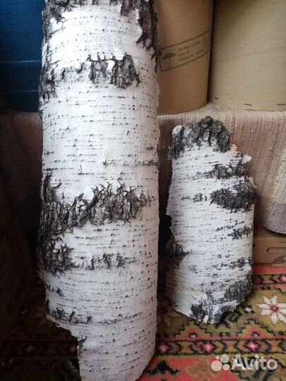 Листы бересты(для террариума.поделок и тд)