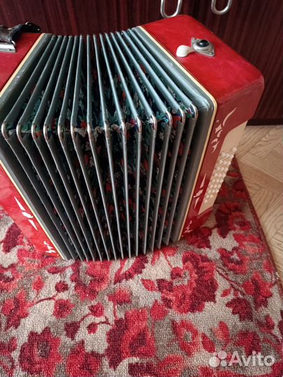 Гармонь беларусь