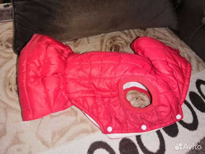 Красивое фирменное пальто для собаки мелких пород