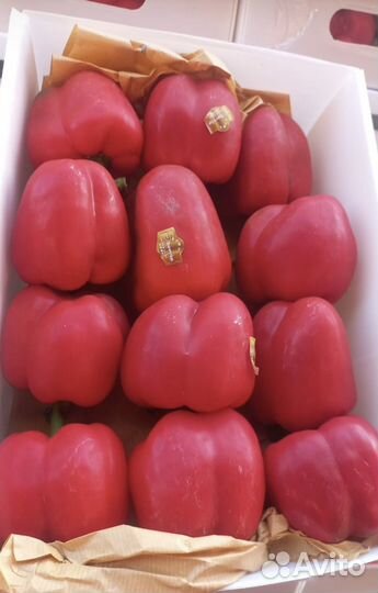 Поставщик продуктов и фруктов из Фуд Сити