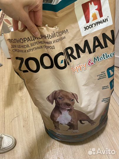 Корм для собак