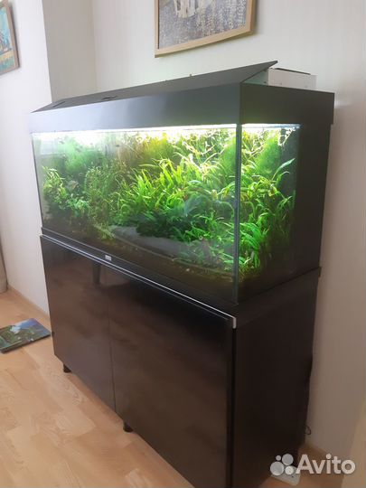 Аквариум 240л. с тумбой