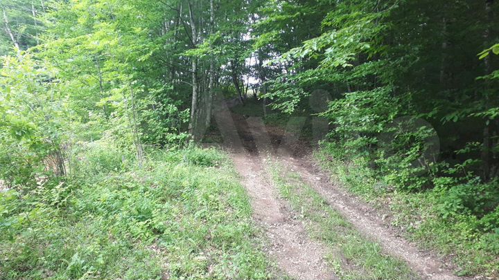 Участок 22 сот. (ИЖС)