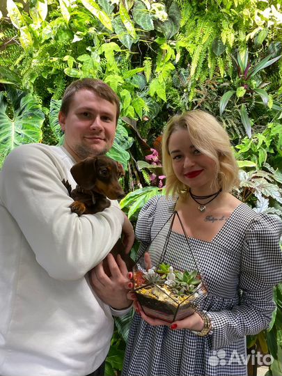 Мастер-класс по созданию флорариума для двоих