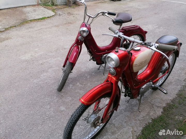 Яветта 551 спорт