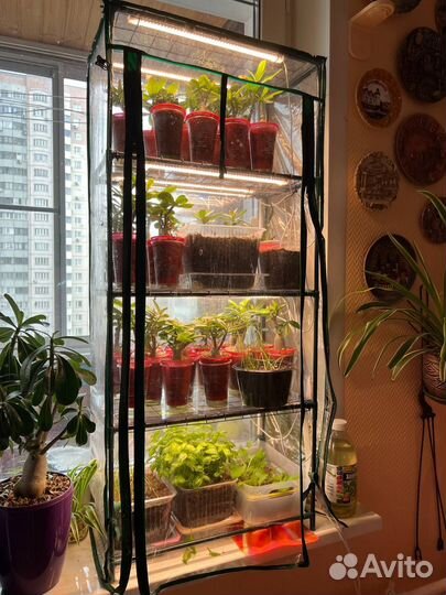 Мини теплица парник стеллаж с подсветкой
