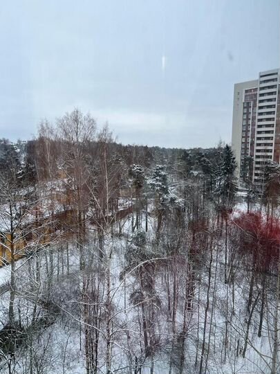 3-к. квартира, 69,5 м², 9/9 эт.