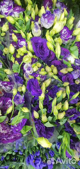 Букет из эустомы Цветы Букеты Розы Пионы Гипсофила