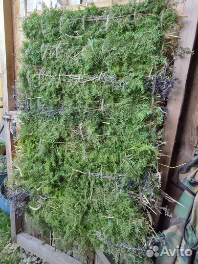 Запарка для бани