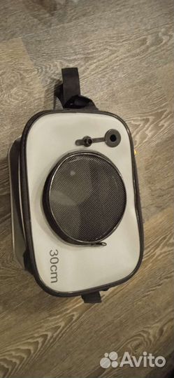 Живец карася(Петергоф)