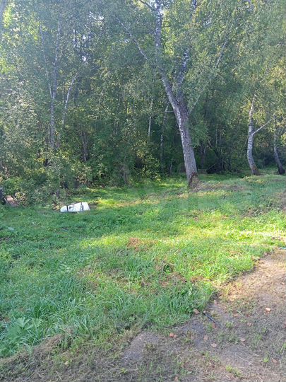 Участок 12 сот. (СНТ, ДНП)