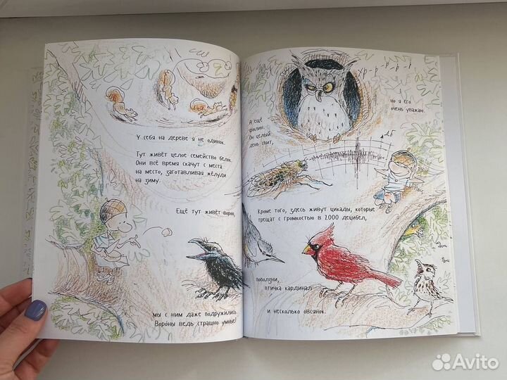 Детские книги поляндрия. Мой друг Бетольт