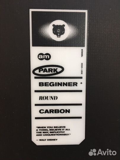 Сноуборд Terror Spray, 163 см, 2021-2022, черный