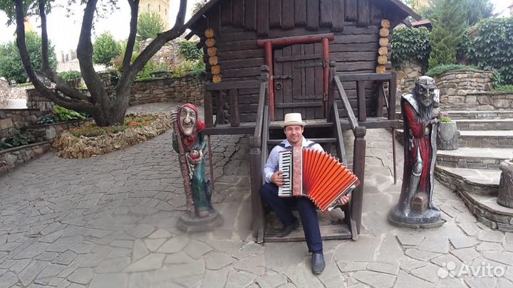 Аккордеонист Баянист Гармонист на праздники