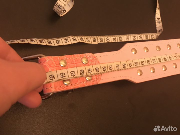 Ошейник для собак