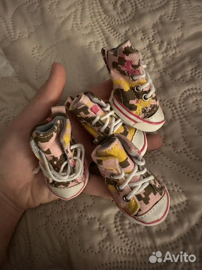 Кеды для собачки