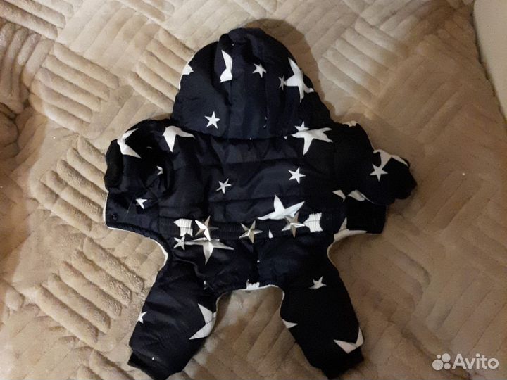 Костюм для щенков