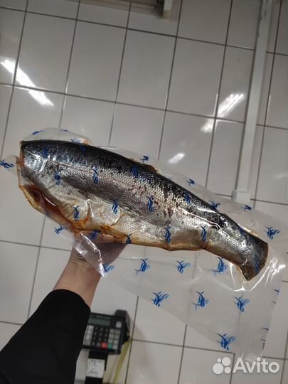 Форель холодного копчения