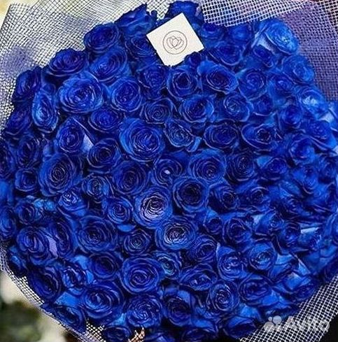 Синие розы Цветы Доставка