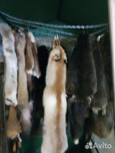 Выделка шкур - качественно