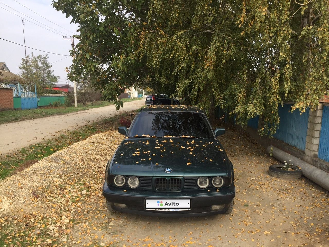 BMW 5 серия: фото владельца