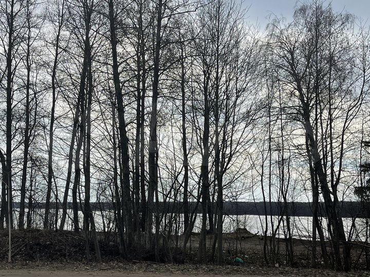 Участок 11,2 сот. (СНТ, ДНП)