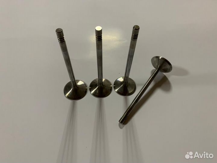 Впускные клапана Chery Amulet