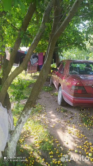 Mercedes-Benz W124 3.0 AT, 1988, 630 000 км