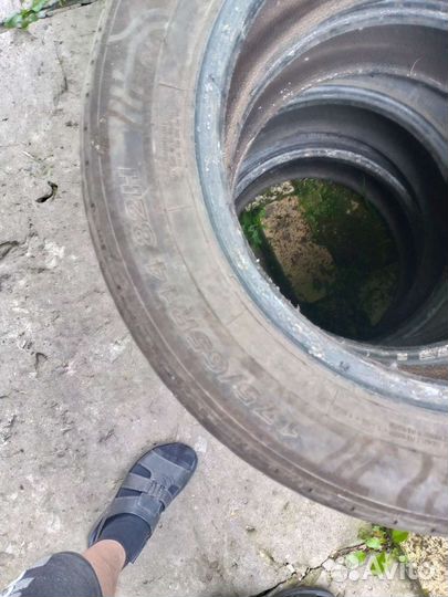 Белшина Artmotion Бел-264 175/65 R14