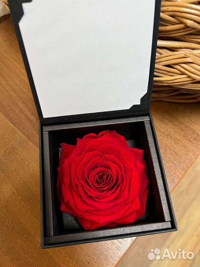 Роза стабилизированная