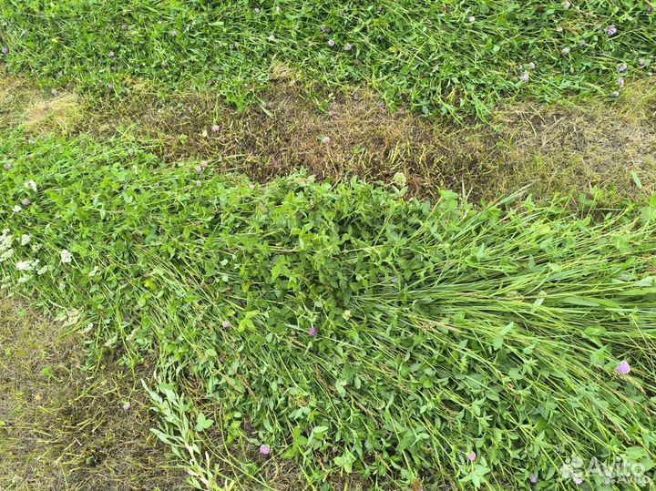 Сено в тюках