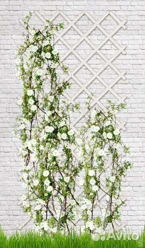 Шпалера для вьющихся растений; б/у; зеленая, 3*1 м