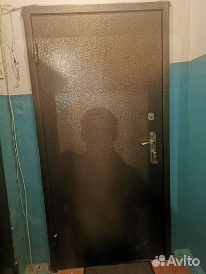 Металлическая входная дверь