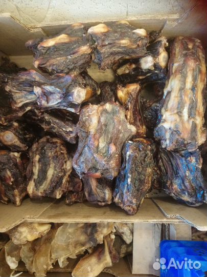 Сушеные лакомства для собак