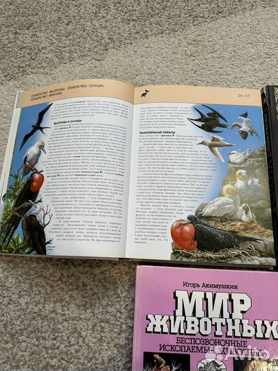 Книги энциклопедия