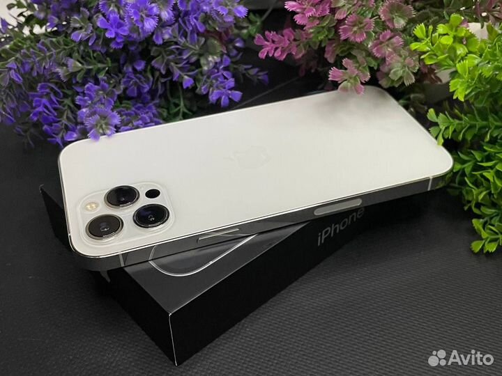 iPhone 12 Pro Max, 256 ГБ