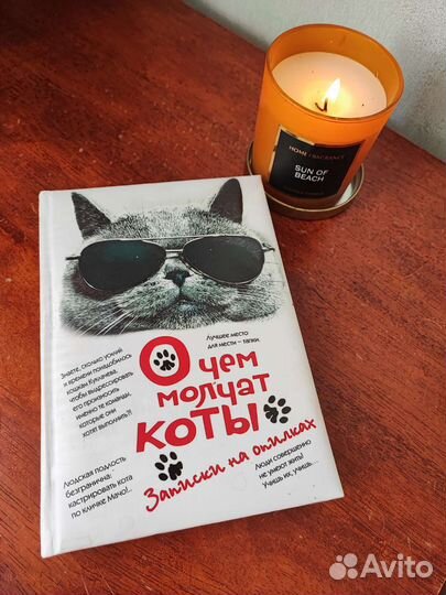 Книга О чем молчат коты Юмор прикол