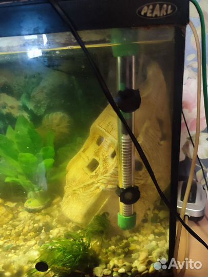 Аквариум на 120 литров