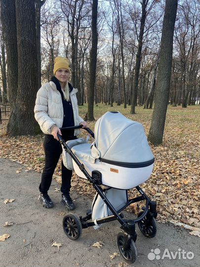 Коляска anex cross 3 в 1