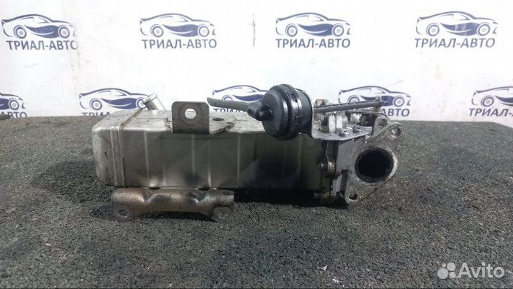 Радиатор EGR sorento