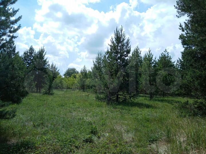 Участок 25,5 сот. (ИЖС)