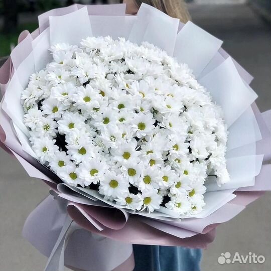 Цветы. Букет цветов. Хризантемы