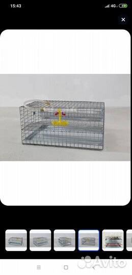 Клетки для перепелов
