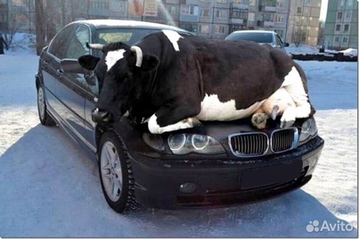 Удаление вмятин, покраска, полировка