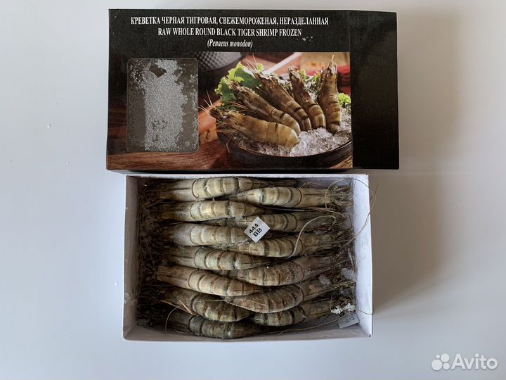 Чёрная тигровая креветка